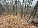 11 Ac Green Forest Road - Photo 4