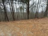 11 Ac Green Forest Road - Photo 5