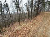 11 Ac Green Forest Road - Photo 6