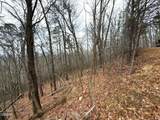 11 Ac Green Forest Road - Photo 7