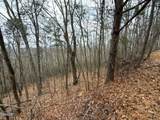 11 Ac Green Forest Road - Photo 8