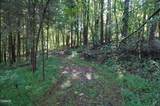 Tract 17 Pleasant View Cemetery Road - Photo 11