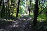 Tract 17 Pleasant View Cemetery Road - Photo 14
