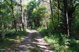Tract 17 Pleasant View Cemetery Road - Photo 15