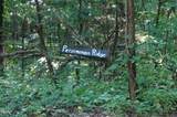Tract 17 Pleasant View Cemetery Road - Photo 19