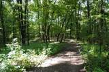 Tract 17 Pleasant View Cemetery Road - Photo 22