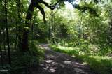 Tract 17 Pleasant View Cemetery Road - Photo 24