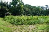 Tract 17 Pleasant View Cemetery Road - Photo 26