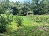 Tract 17 Pleasant View Cemetery Road - Photo 27