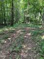 Tract 17 Pleasant View Cemetery Road - Photo 28