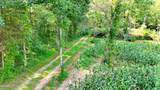Tract 17 Pleasant View Cemetery Road - Photo 3