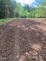 Tract 17 Pleasant View Cemetery Road - Photo 34