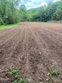 Tract 17 Pleasant View Cemetery Road - Photo 35