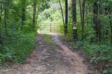 Tract 17 Pleasant View Cemetery Road - Photo 38