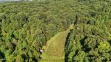 Tract 17 Pleasant View Cemetery Road - Photo 4