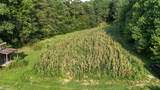 Tract 17 Pleasant View Cemetery Road - Photo 6