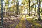 Tract 19 Pleasant View Cemetery Road - Photo 10