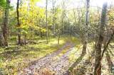 Tract 19 Pleasant View Cemetery Road - Photo 13