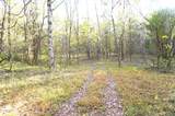 Tract 19 Pleasant View Cemetery Road - Photo 14
