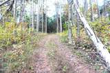 Tract 19 Pleasant View Cemetery Road - Photo 20