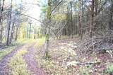 Tract 19 Pleasant View Cemetery Road - Photo 22