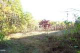 Tract 19 Pleasant View Cemetery Road - Photo 25