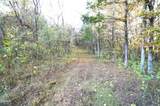Tract 19 Pleasant View Cemetery Road - Photo 29