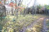 Tract 19 Pleasant View Cemetery Road - Photo 30