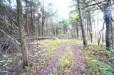 Tract 19 Pleasant View Cemetery Road - Photo 34