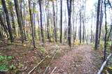 Tract 19 Pleasant View Cemetery Road - Photo 35