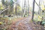 Tract 19 Pleasant View Cemetery Road - Photo 36