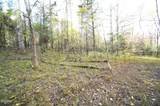Tract 19 Pleasant View Cemetery Road - Photo 39
