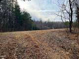 Tract 19 Pleasant View Cemetery Road - Photo 4