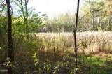 Tract 19 Pleasant View Cemetery Road - Photo 41