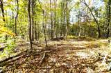 Tract 19 Pleasant View Cemetery Road - Photo 42