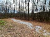 Tract 19 Pleasant View Cemetery Road - Photo 44
