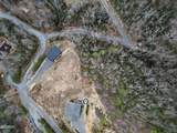 617 Big Bear Ridge Road - Photo 72