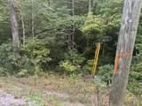 Lot 27 Pinnacle Vista Road - Photo 4