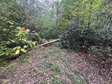 Lot 27 Pinnacle Vista Road - Photo 6