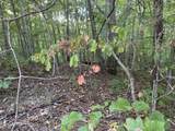 714 Pinnacle Vista Road - Photo 11