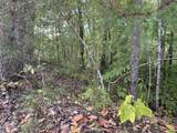 714 Pinnacle Vista Road - Photo 12