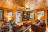 4151 Oak Ridge Street - Photo 6
