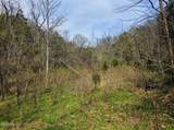TBD Mcamis Hollow Road - Photo 15