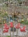 2120 Jeans Way - Photo 23