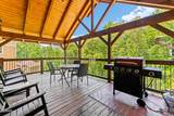 1123 Anastasia Way - Photo 49
