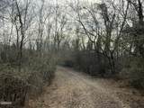0 Chickory Road - Photo 13
