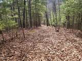 0 Dockery Branch Road - Photo 3
