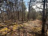 Lot 3 Kellum Creek Road - Photo 6