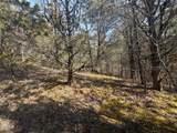Lot 3 Kellum Creek Road - Photo 9