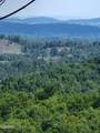 0 Lower Rinehart Road - Photo 3